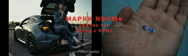 прущие грибы Арсеньев