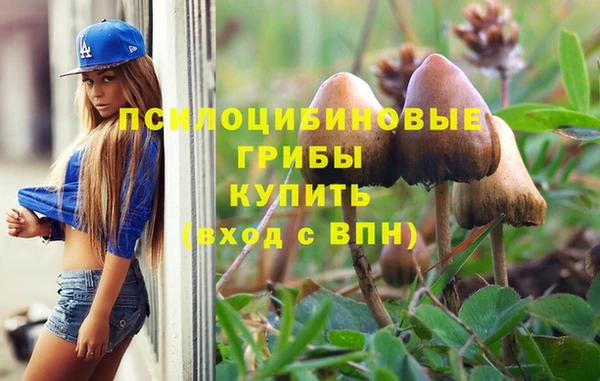 прущий лед Армянск