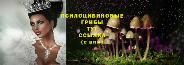 прущие грибы Арсеньев